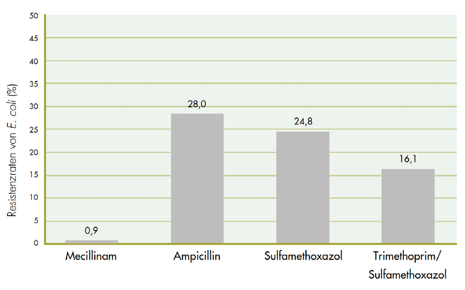 Resistenzraten E. coli europaeische, epidemiologischen Studie