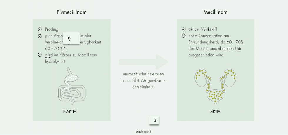 Tag Pivmecillinam in Mecillinam